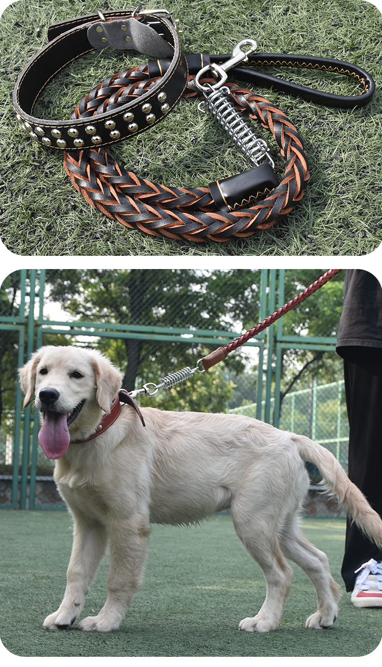 π Genuine Leather Dog Collar & Braided Leash Set with Shock Absorbing Spring β Adjustable for Medium & Large Dogs