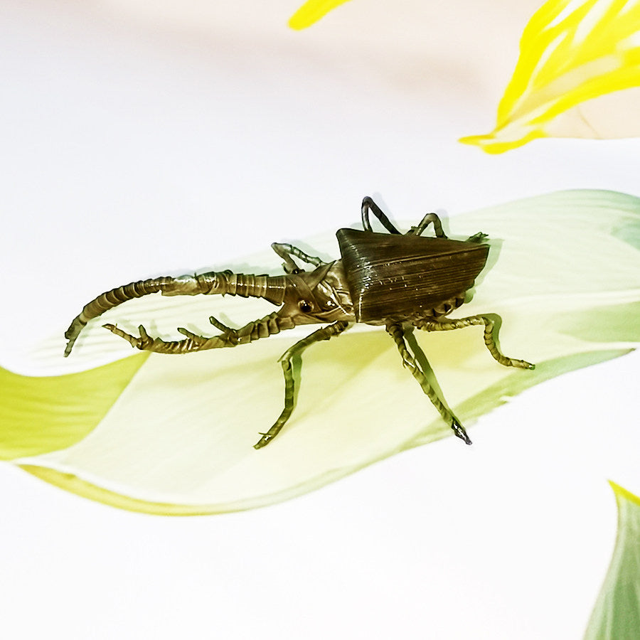 Handwoven Palm Leaf Rhinoceros Beetle