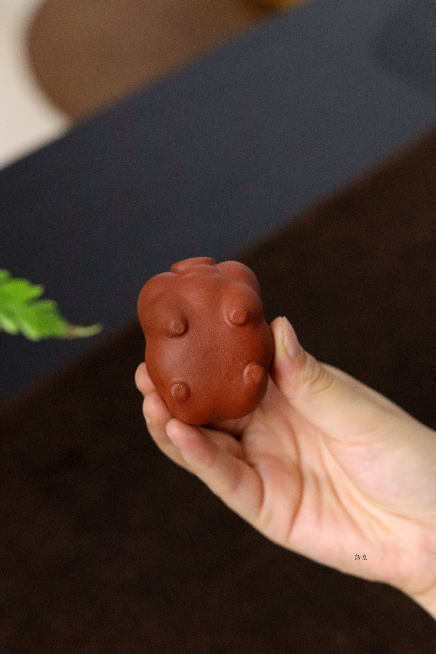 🐷 Prosperity Blessing Pig – Tea Pet (Small)