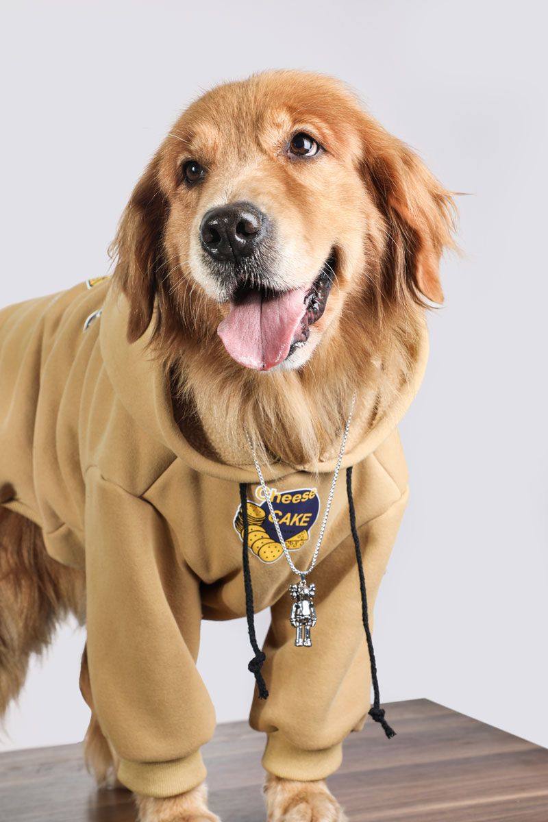 Thick Fleece Dog Hoodie for Large Dogs – Warm Winter Pullover Sweatshirt for Labrador & Golden Retriever