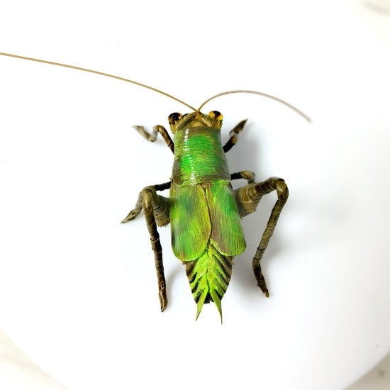 Handwoven Palm Leaf Cricket (Katydid) – Traditional Folk Insect Art, Nature-Inspired Handmade Decor