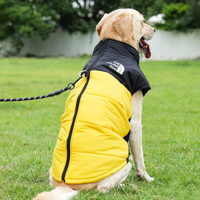 Waterproof Winter Dog Jacket with Warm Padding – Windproof, Cozy & Lightweight