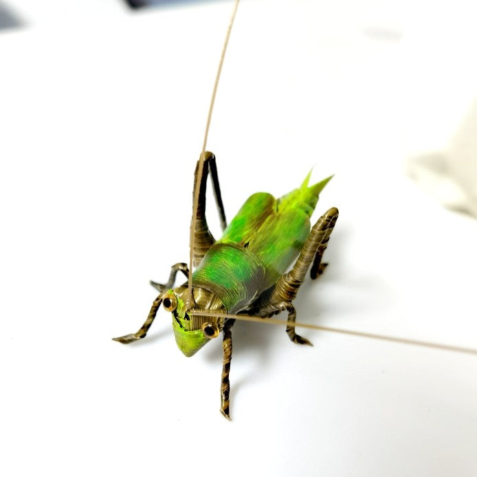 Handwoven Palm Leaf Cricket (Katydid) – Traditional Folk Insect Art, Nature-Inspired Handmade Decor
