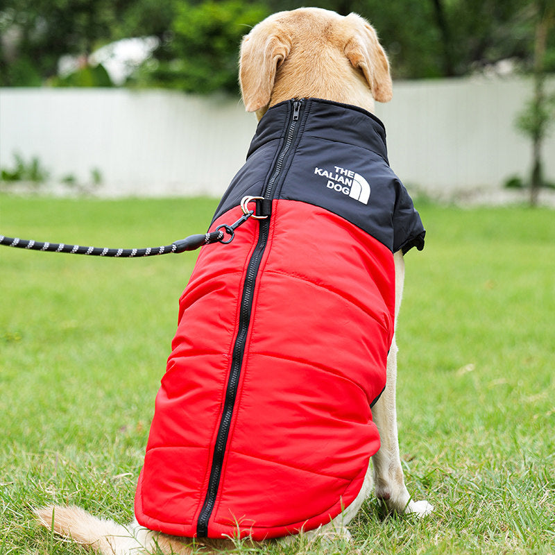 Waterproof Winter Dog Jacket with Warm Padding – Windproof, Cozy & Lightweight