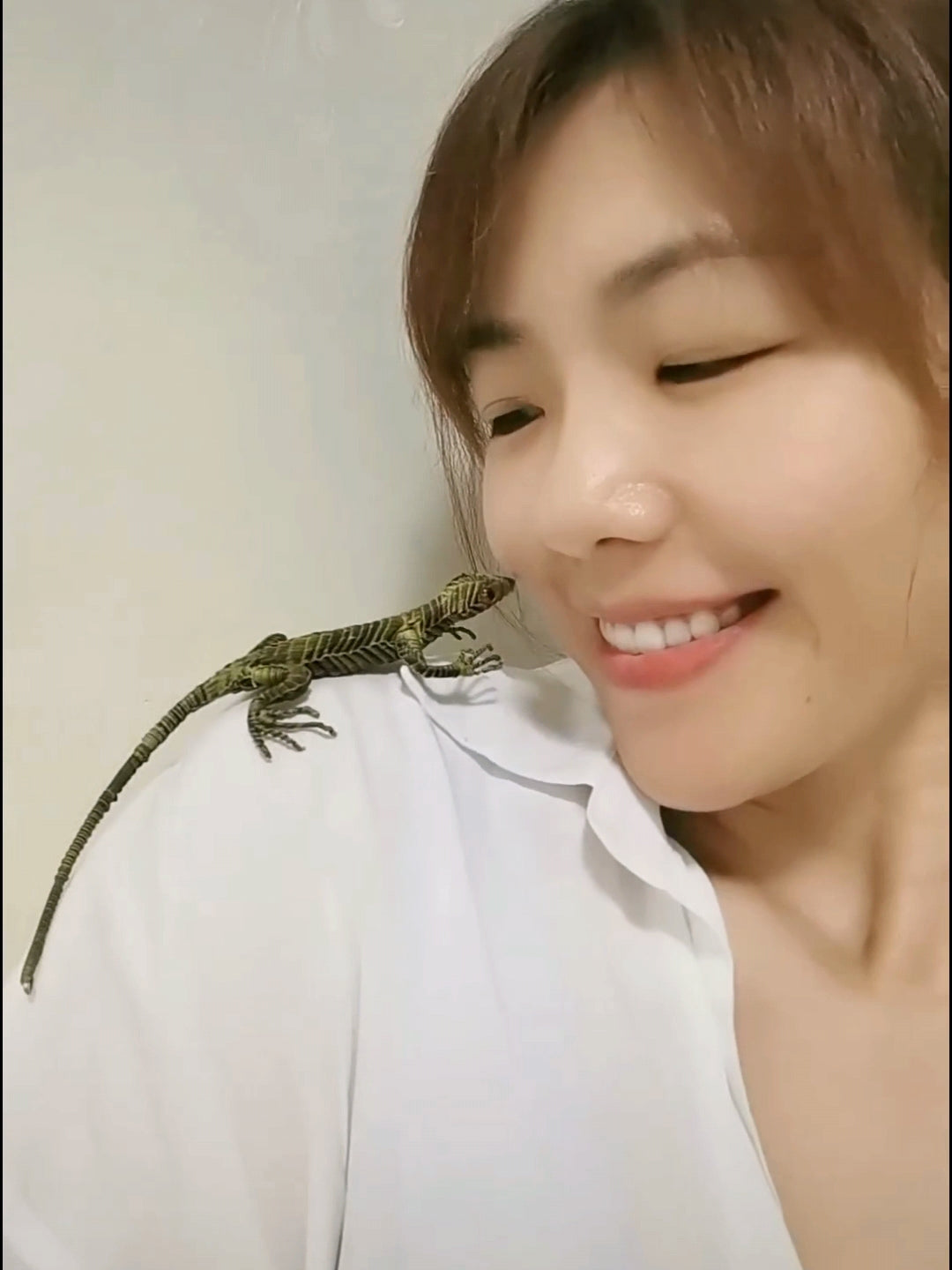 Handwoven Straw Lizard – Traditional Chinese Folk Craft