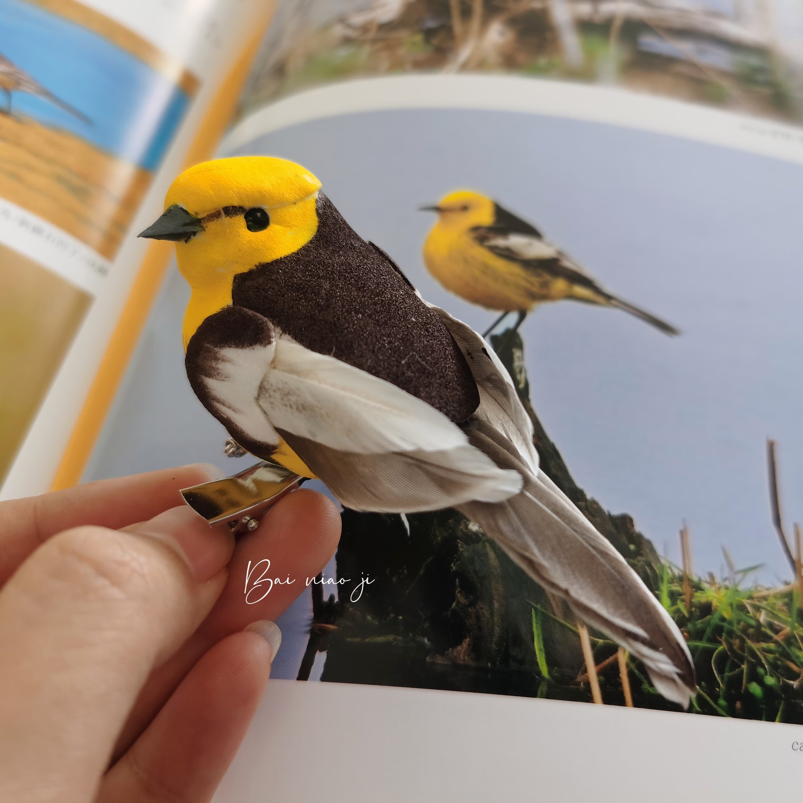 Handcrafted Mini Bird Clip Ornament | Artist-Made Collectible Nature Decor