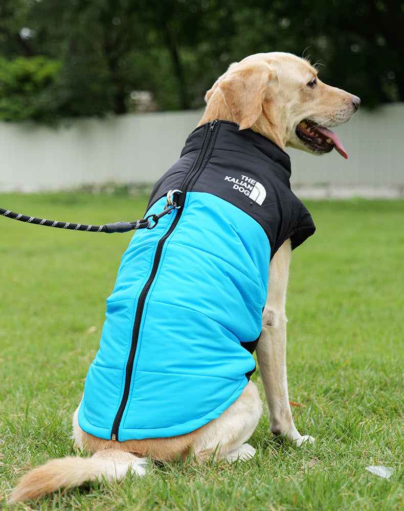 Waterproof Winter Dog Jacket with Warm Padding – Windproof, Cozy & Lightweight