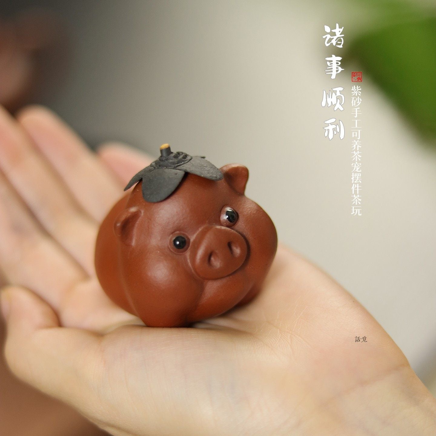 🐷 Prosperity Blessing Pig – Tea Pet (Small)