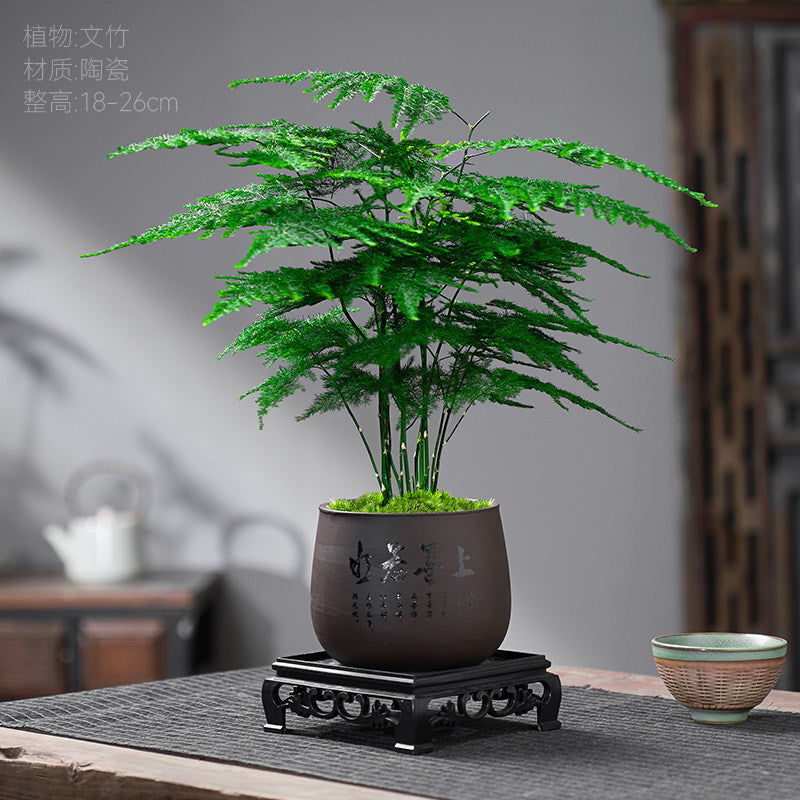 Traditional Ceramic Planter with Display Stand – Micro Landscape & Bonsai Pot (Pot Only)