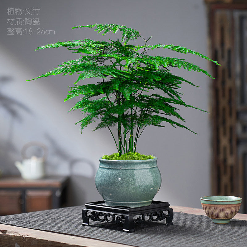 Traditional Ceramic Planter with Display Stand – Micro Landscape & Bonsai Pot (Pot Only)