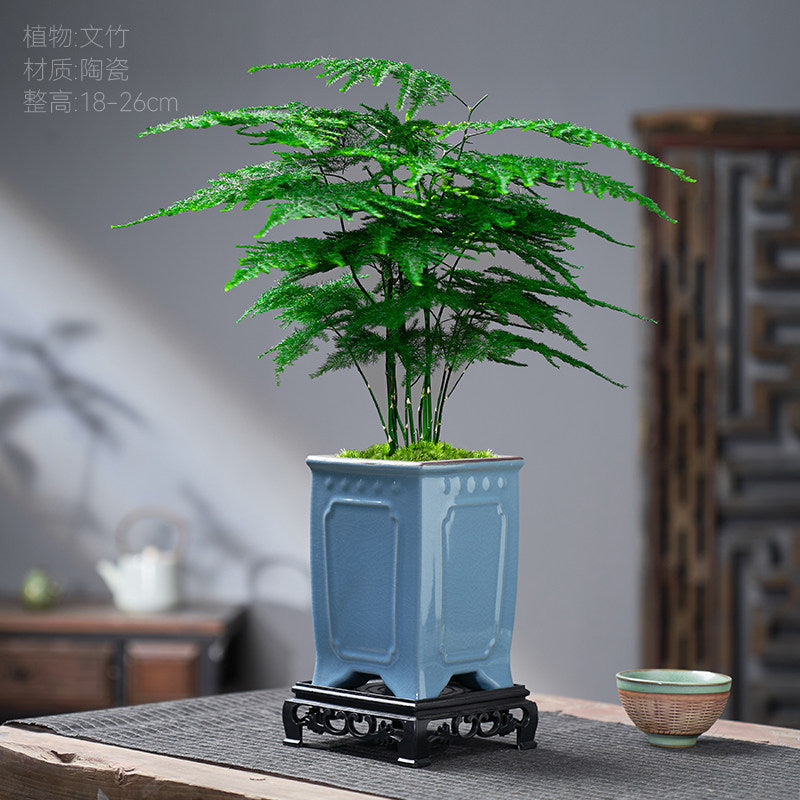 Traditional Ceramic Planter with Display Stand – Micro Landscape & Bonsai Pot (Pot Only)