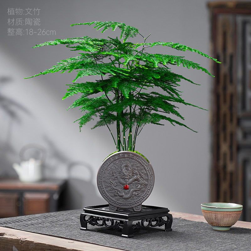 Traditional Ceramic Planter with Display Stand – Micro Landscape & Bonsai Pot (Pot Only)