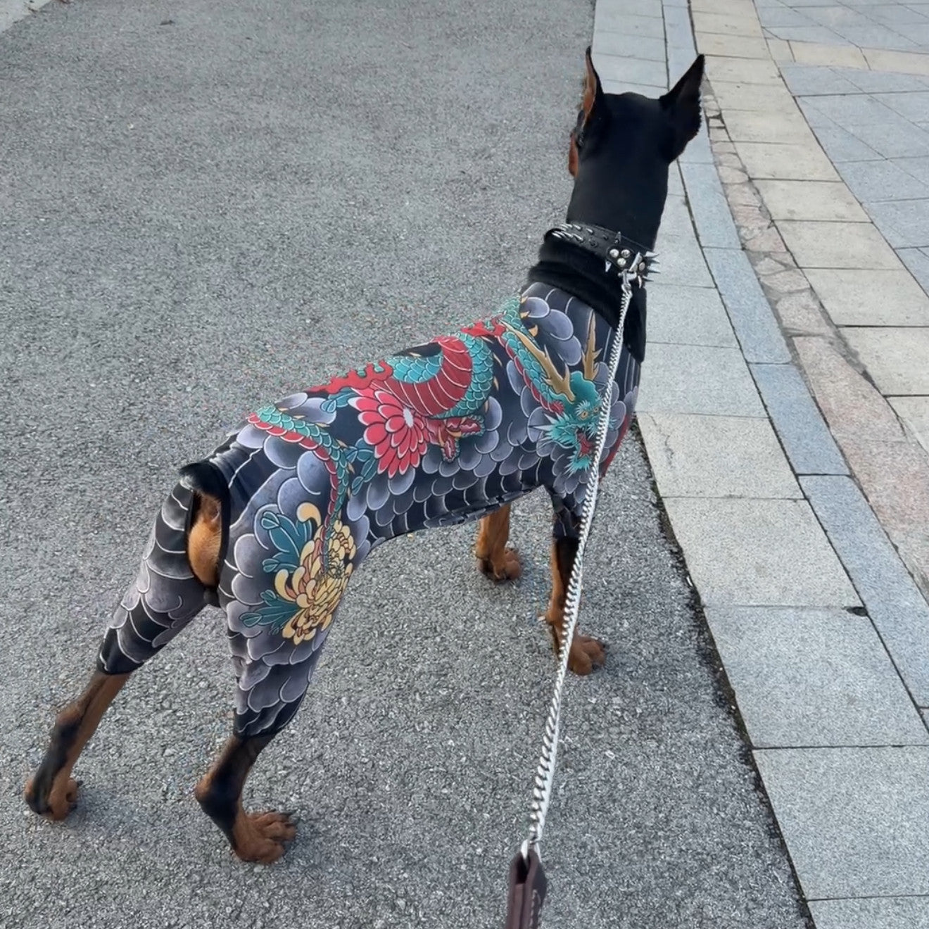 Tattoo Style Dog Bodysuit | Stretchy Full-Body Pet Shirt for Large Dogs | Doberman & Labrador Outfit