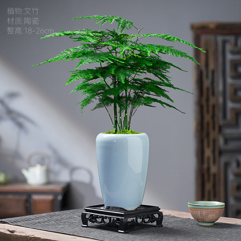 Traditional Ceramic Planter with Display Stand – Micro Landscape & Bonsai Pot (Pot Only)