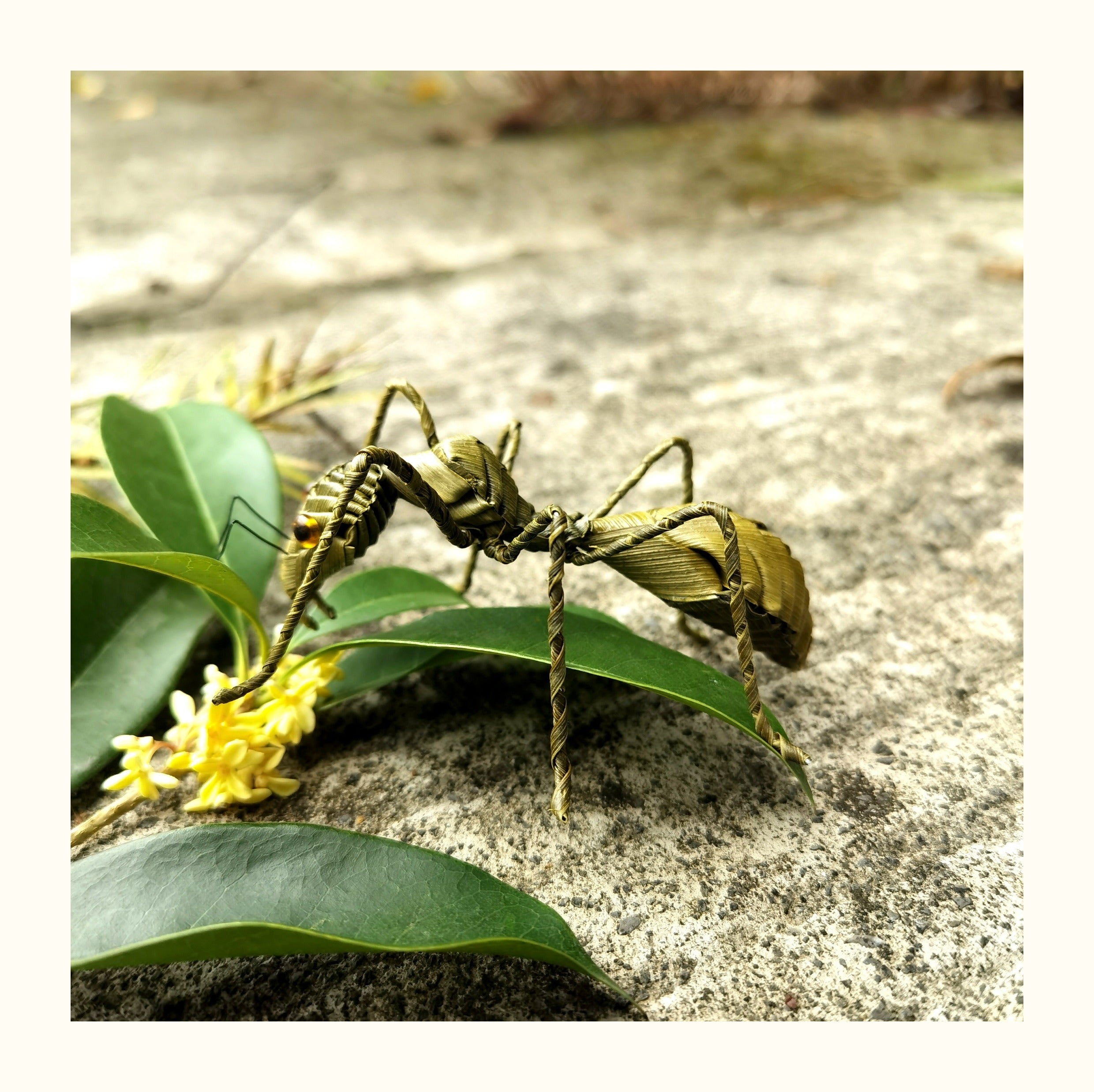 Handwoven Straw Ant – Traditional Chinese Folk Craft