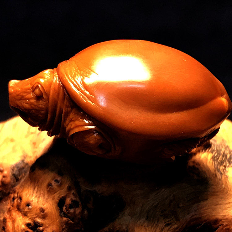 Hand-Carved Turtle Nut Sculpture – Miniature Micro Carving