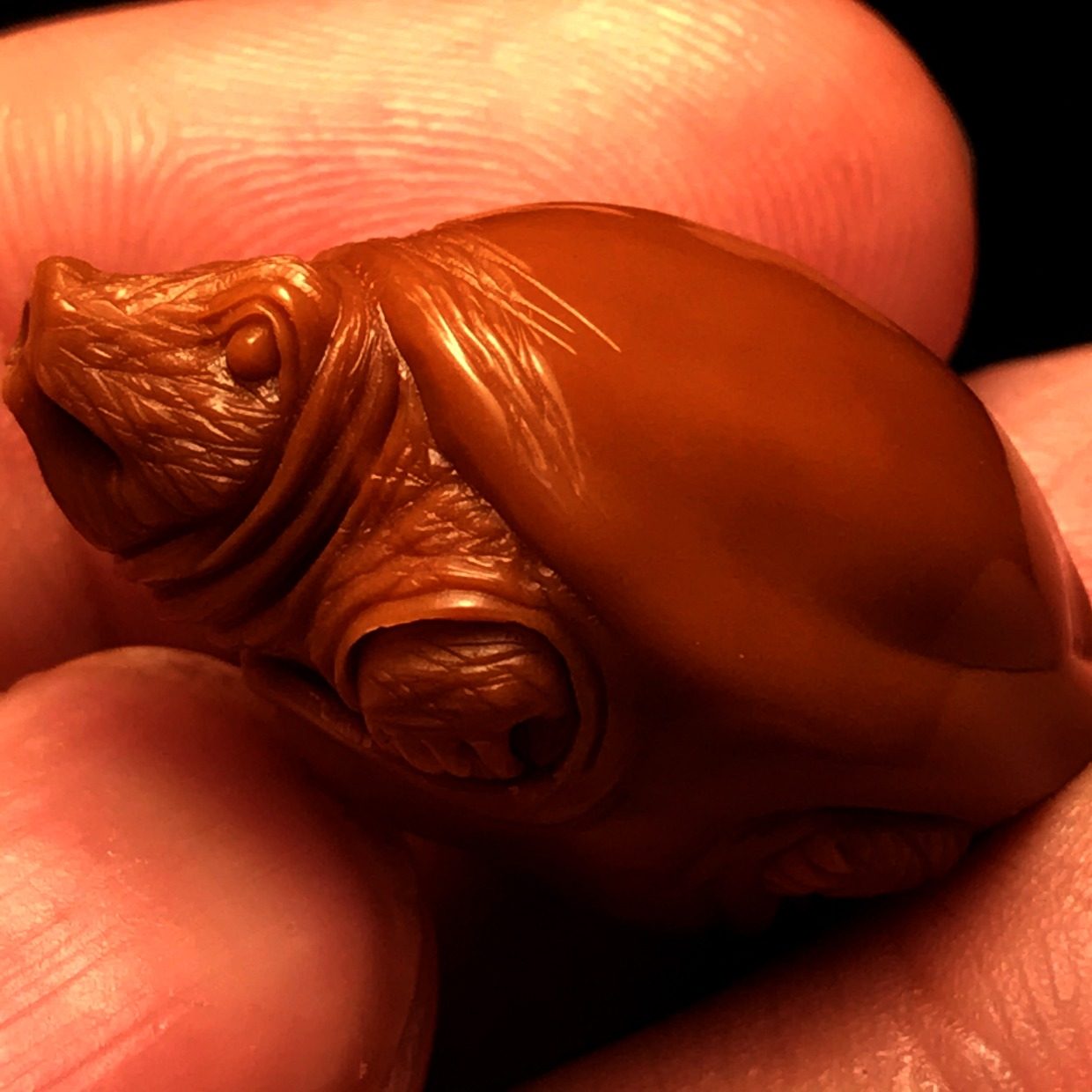 Hand-Carved Turtle Nut Sculpture – Miniature Micro Carving
