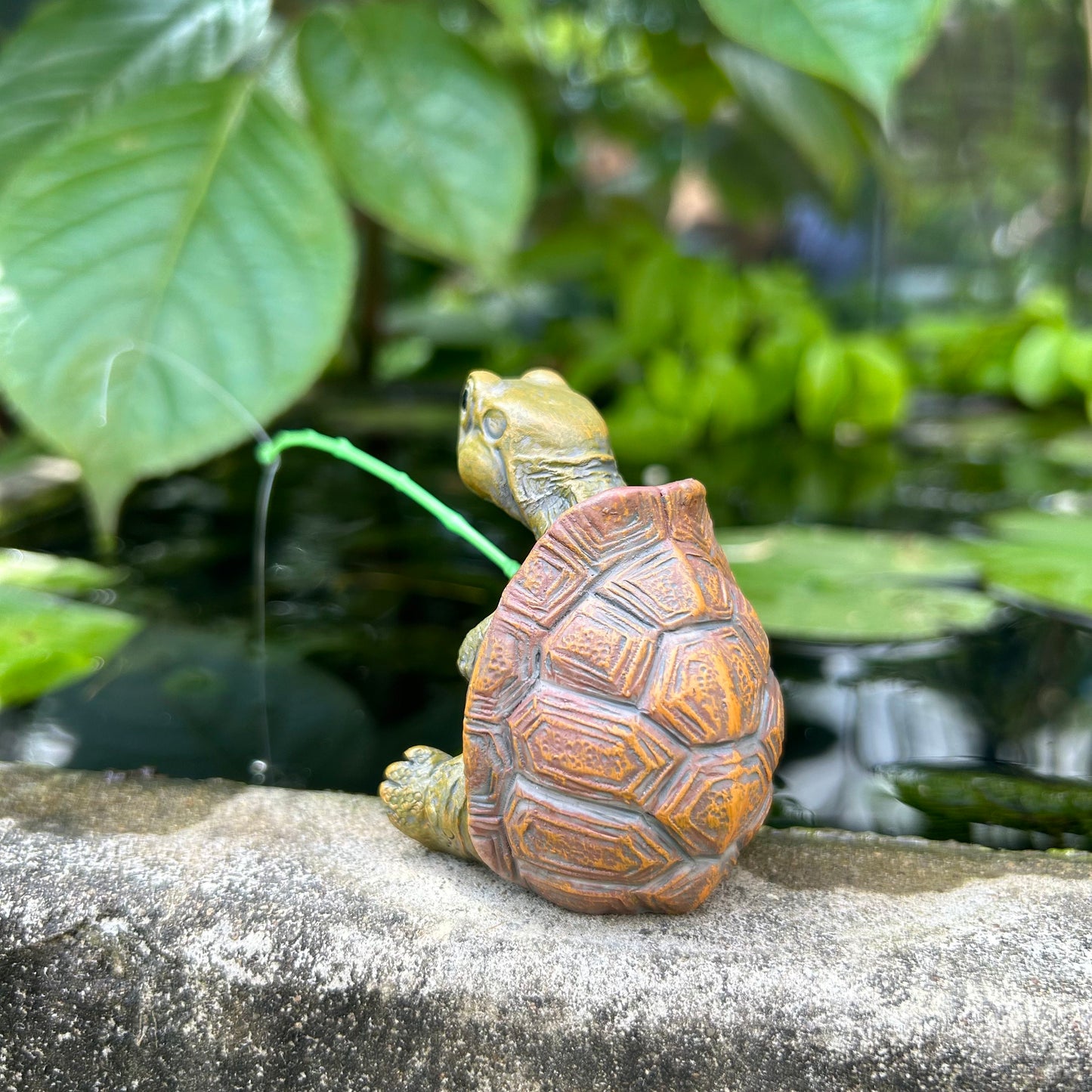 Mini Fishing Turtle – Terrarium & Fairy Garden Figurine 🐢🎣 | Free Shipping