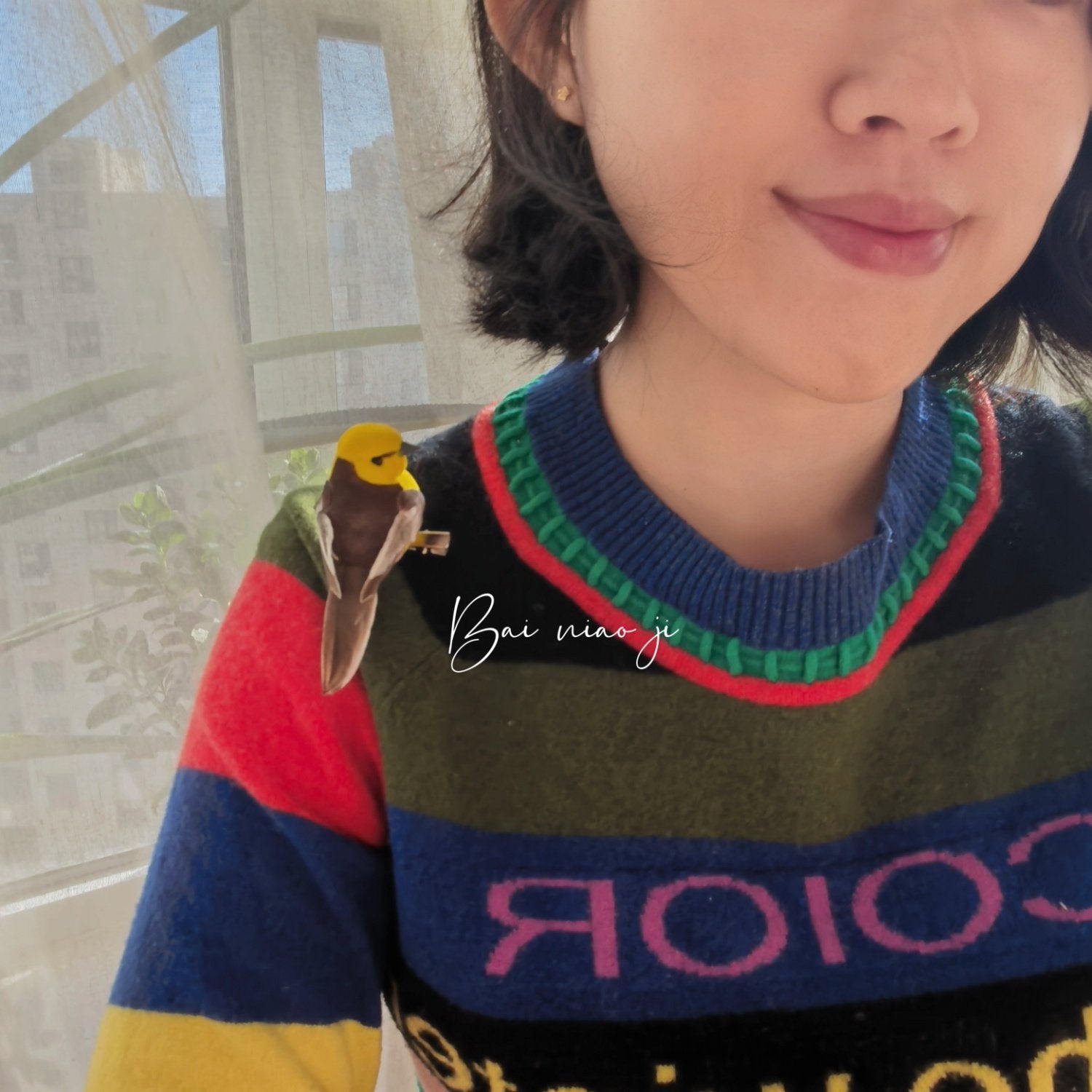 Handcrafted Mini Bird Clip Ornament | Artist-Made Collectible Nature Decor