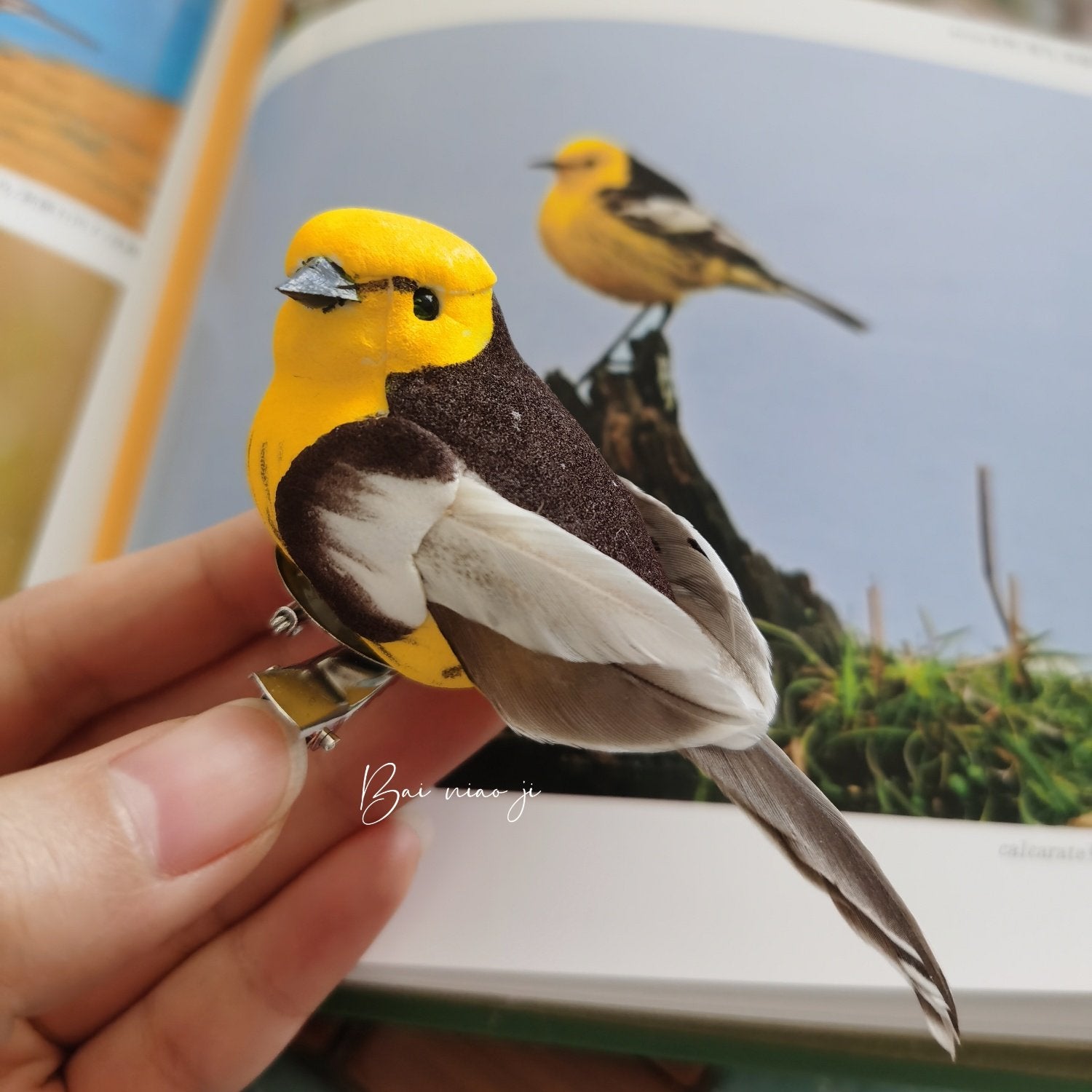 Handcrafted Mini Bird Clip Ornament | Artist-Made Collectible Nature Decor