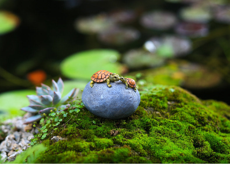 Mini Turtle on Rock Figurine – Resin Micro Landscape Decor for Desk, Shelf & Plant Displays