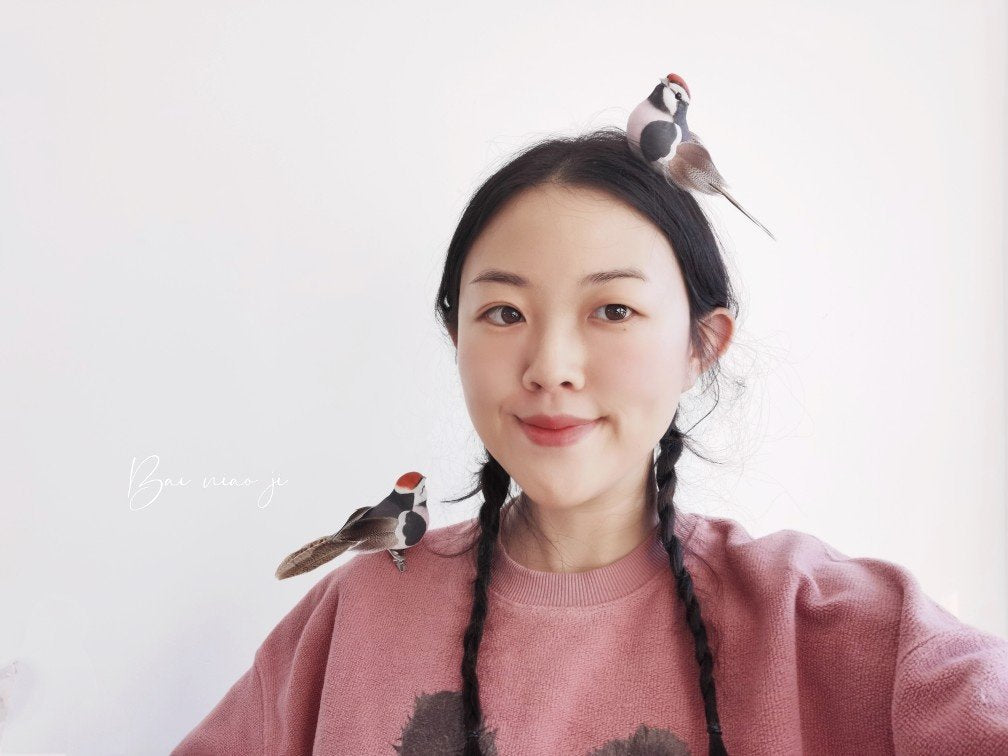 Handcrafted Mini Bird Clip Ornament | Artist-Made Collectible Nature Decor