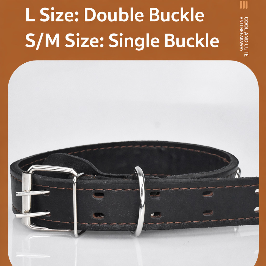 🐕 Genuine Leather Dog Collar & Braided Leash Set with Shock Absorbing Spring – Adjustable for Medium & Large Dogs