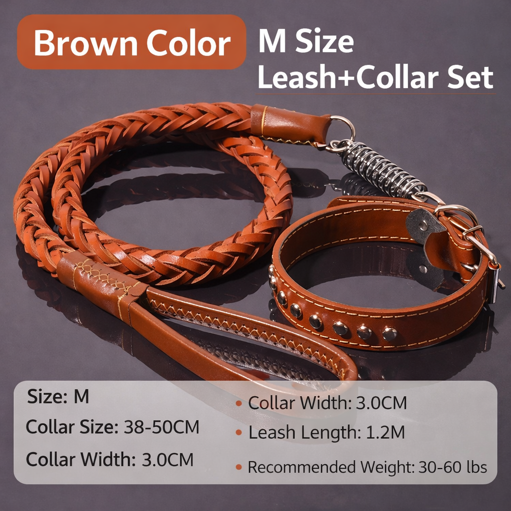 🐕 Genuine Leather Dog Collar & Braided Leash Set with Shock Absorbing Spring – Adjustable for Medium & Large Dogs