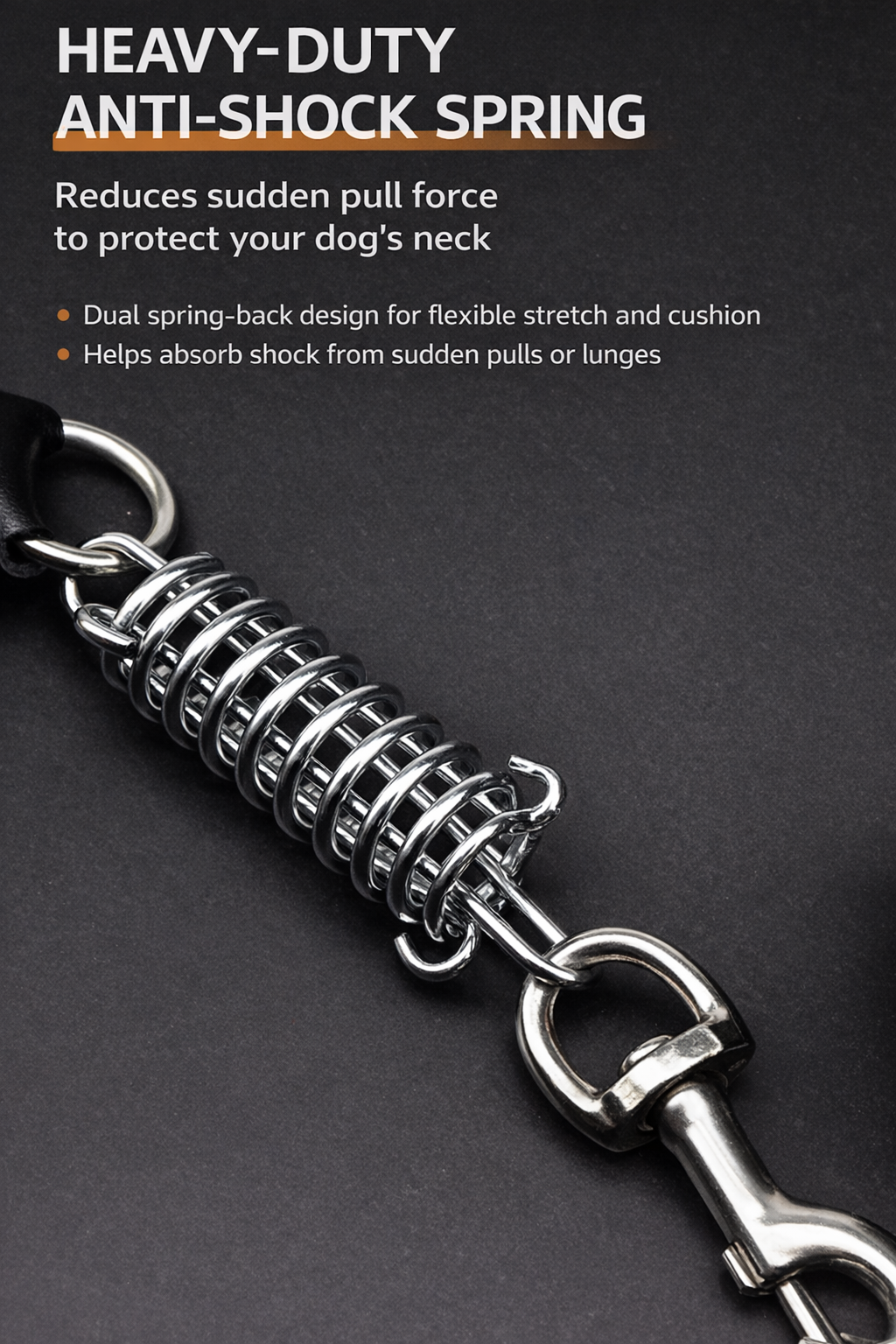 🐕 Genuine Leather Dog Collar & Braided Leash Set with Shock Absorbing Spring – Adjustable for Medium & Large Dogs