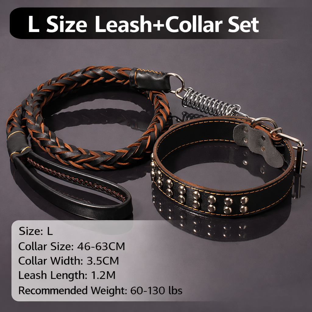 🐕 Genuine Leather Dog Collar & Braided Leash Set with Shock Absorbing Spring – Adjustable for Medium & Large Dogs