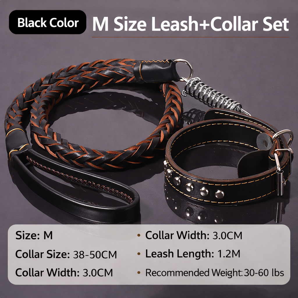 🐕 Genuine Leather Dog Collar & Braided Leash Set with Shock Absorbing Spring – Adjustable for Medium & Large Dogs
