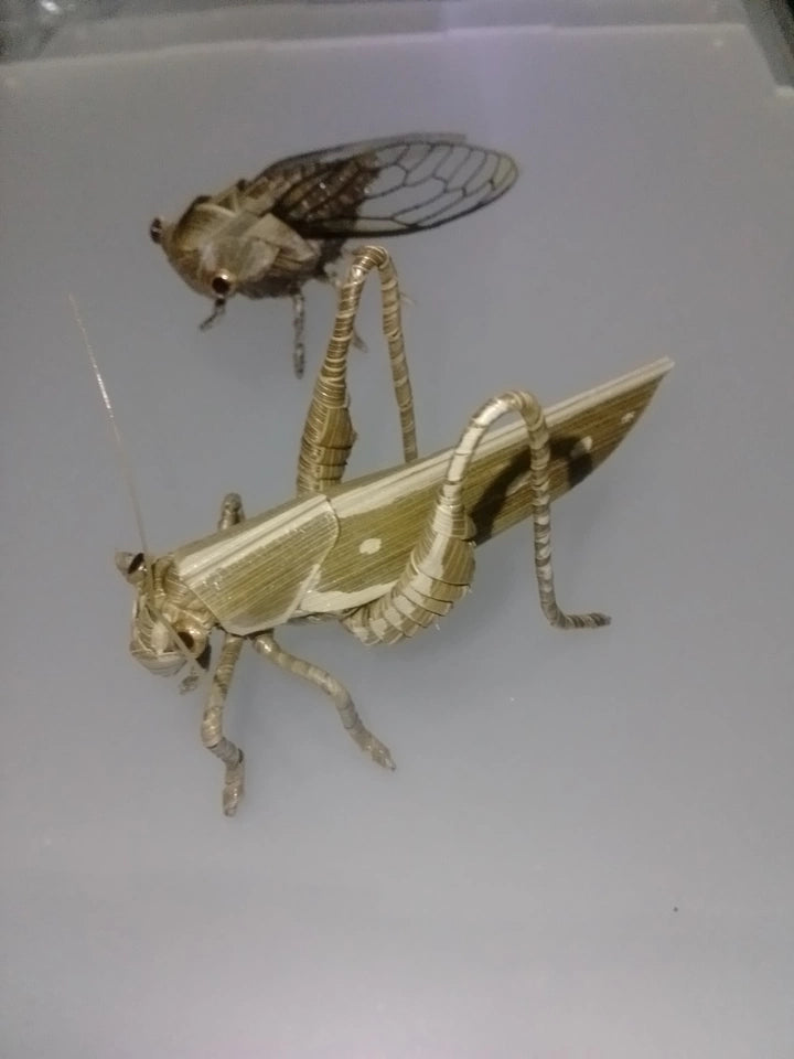 Handwoven Straw Locust – Traditional Chinese Folk Craft