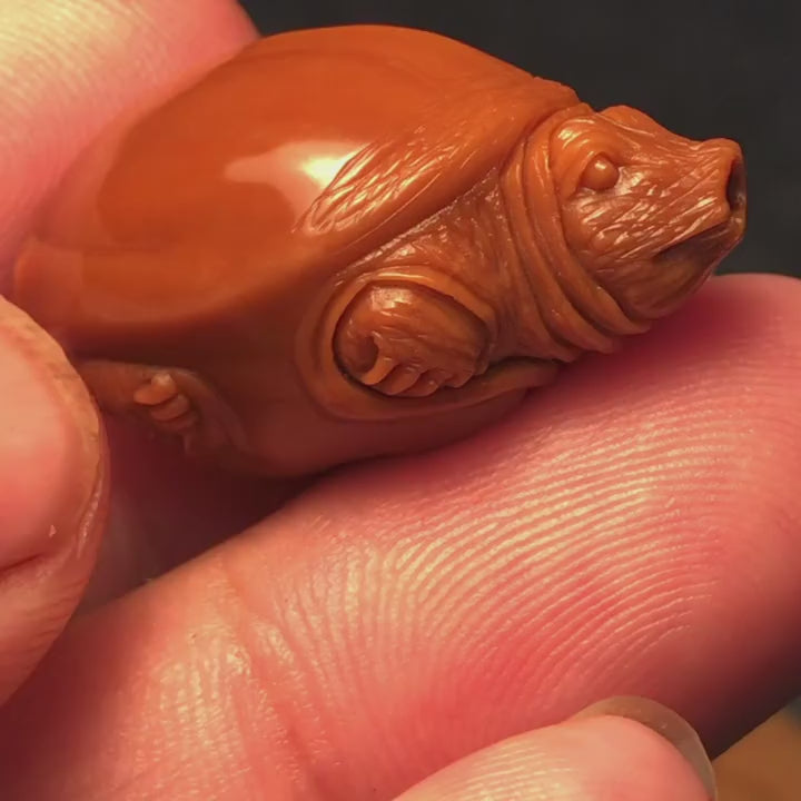 Hand-Carved Turtle Nut Sculpture – Miniature Micro Carving