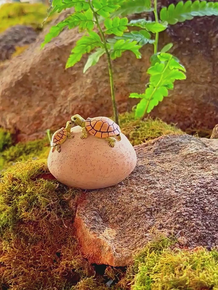 Mini Turtle on Rock Figurine – Resin Micro Landscape Decor for Desk, Shelf & Plant Displays